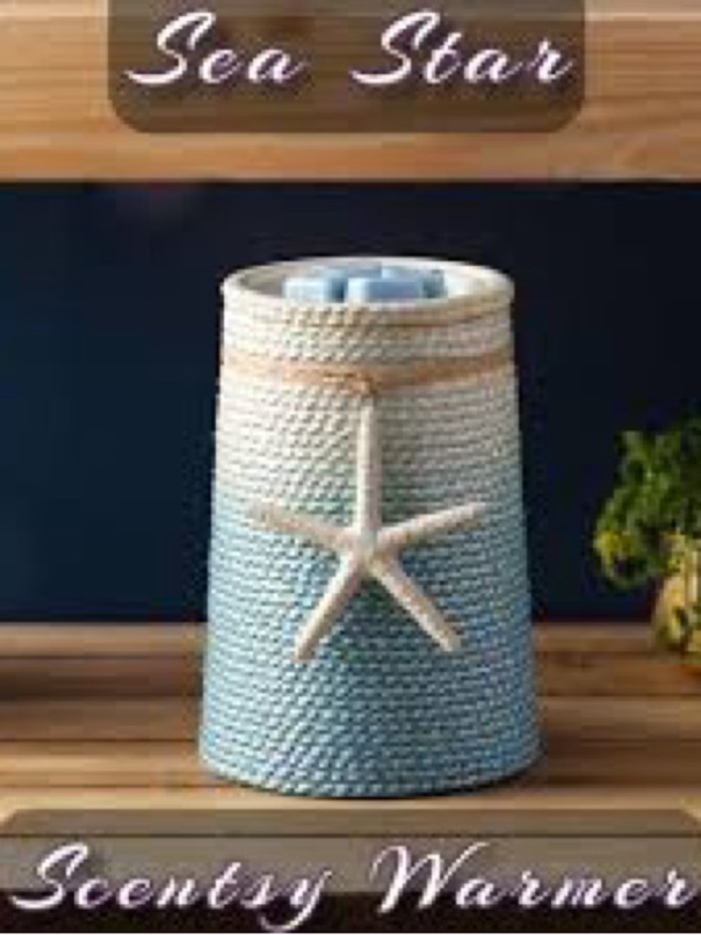 Scentsy Blue Ombre Starfish Warmer